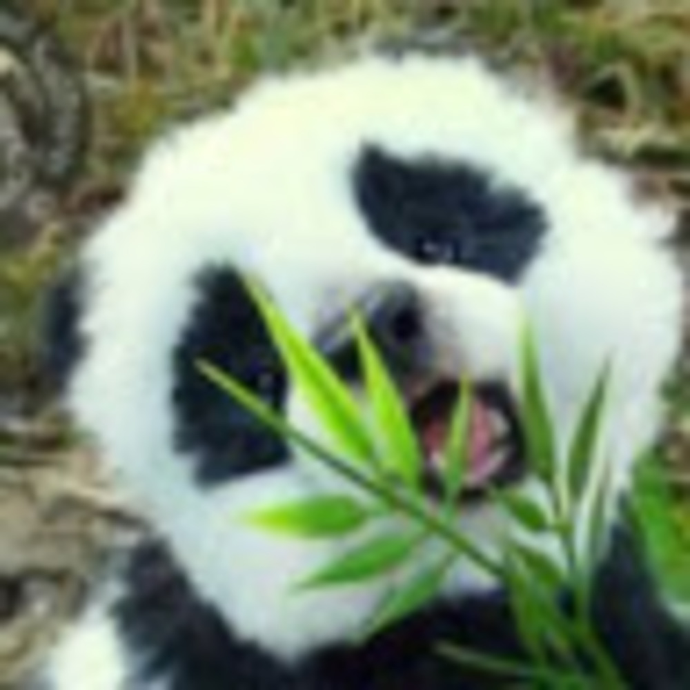 Meet your Posher, Hope